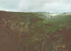 WiliHoloGlch.JPG (70707 bytes)